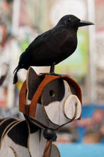 Crow Headband